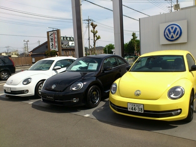 beetle 外.jpg